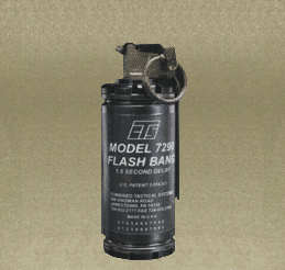 flash.gif